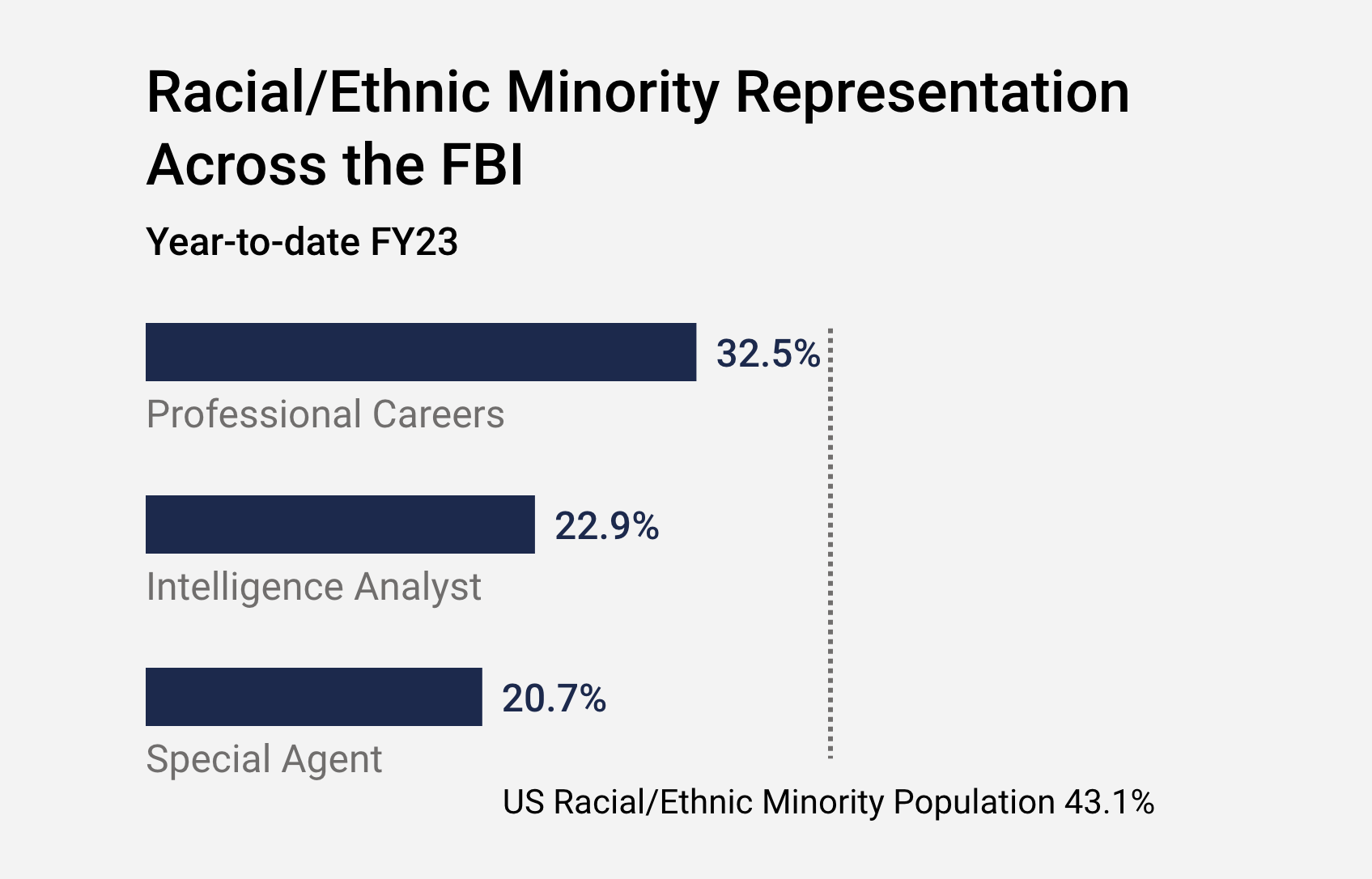 Diversity - Racial & Ethnic Workforce Graphic